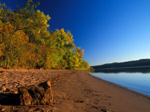 A beach with fall trees in the background