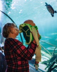 An older woman holding up her grandson, dressed in a turtle costume, to see turtles at SEA LIFE