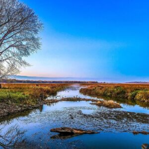 A creek in the Wildlife Refuge at sunrise in the fall