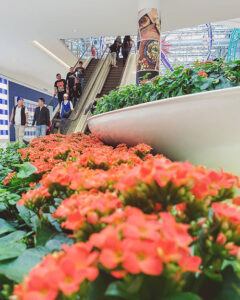 Orange flowers with a Mall of America escalator in the background