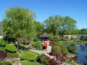 Japanese Garden on a sunny day