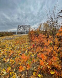 Old Cedar Avenue Bridge with fall leaves in the foreground