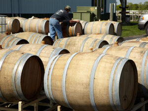 Dozens of wine barrels