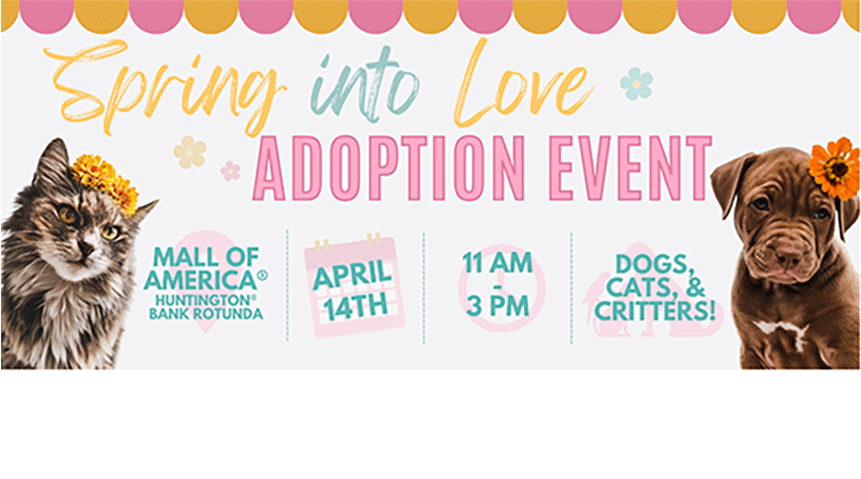 pet adoption event at mall of america
