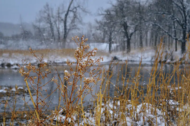 A snowy landscape at the Wildlife Refuge