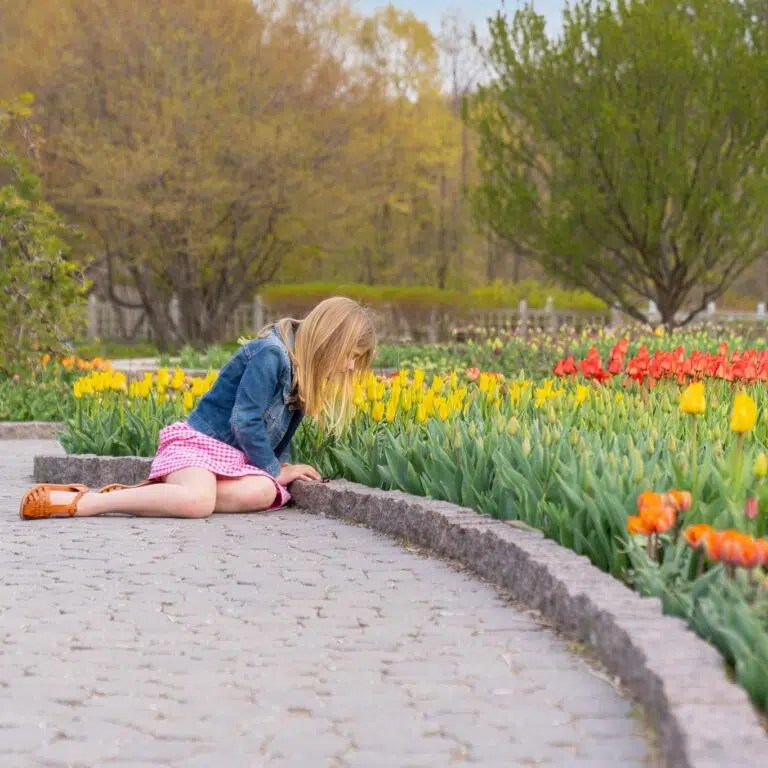 Minnesota Landscape Arboretum