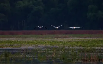 Minnesota Valley National Wildlife Refuge