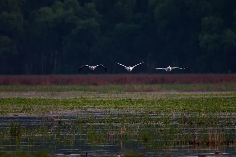 Minnesota Valley National Wildlife Refuge