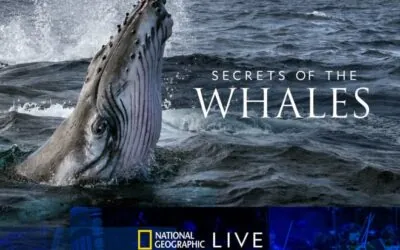 Secrets of the Whales