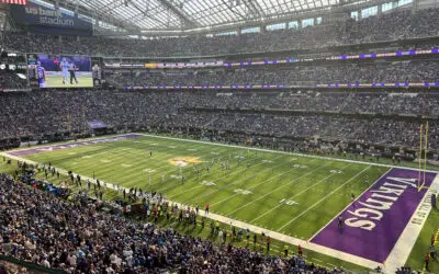 Minnesota Vikings vs. Arizona Cardinals