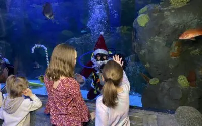 Scuba Claus