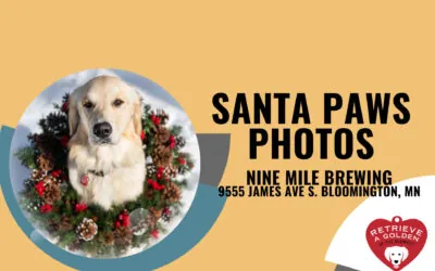 Santa Paws Photos