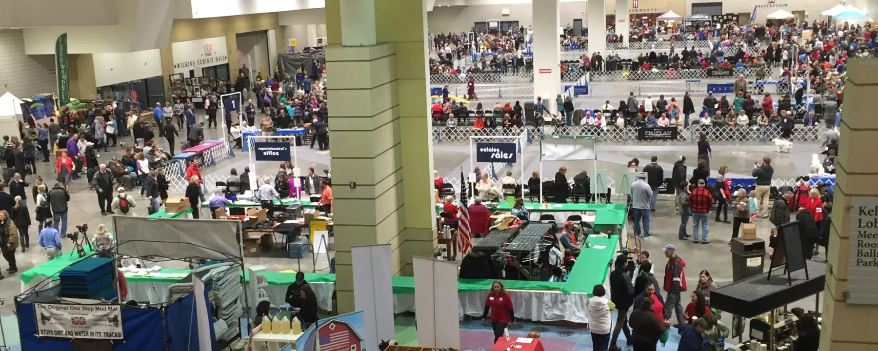 Aerial view of the Land O'Lakes Kennel Club Dog Show