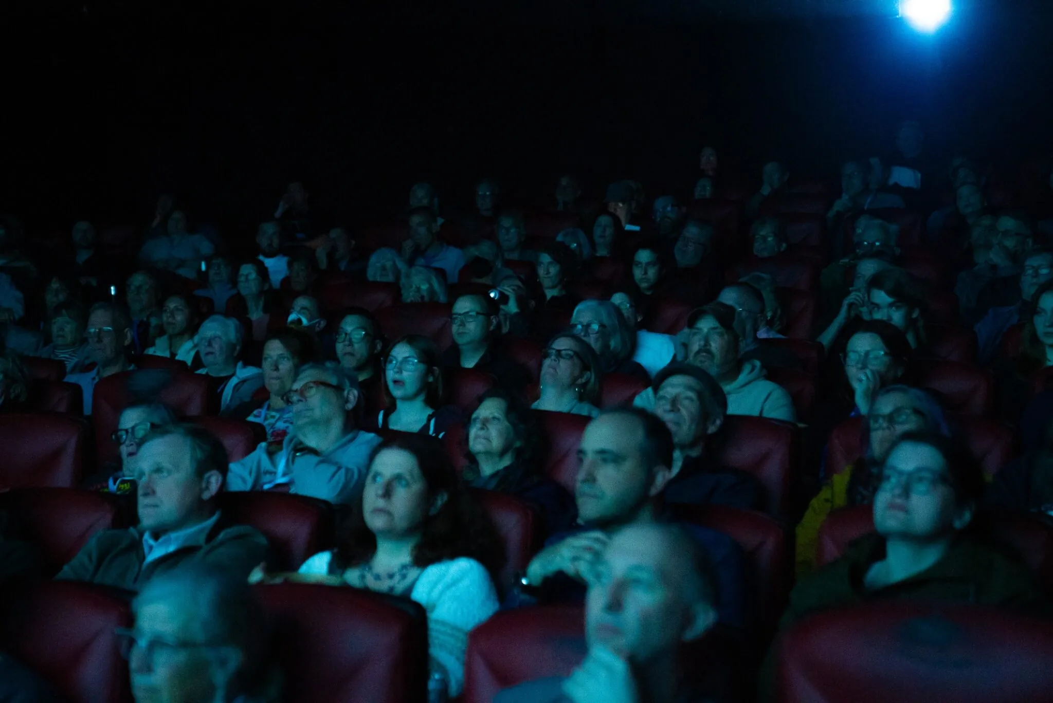 Rows of people sitting in movie theater seats watching a movie