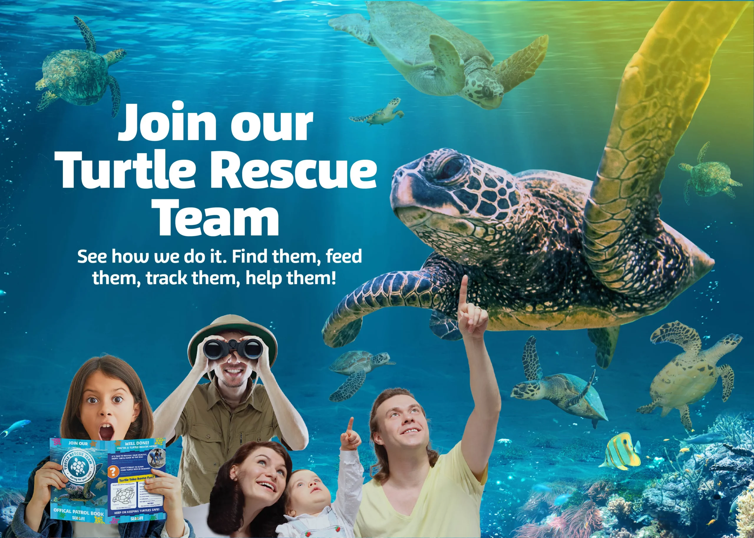 A sea turtle swims by text that says Join our Turtle Rescue Team