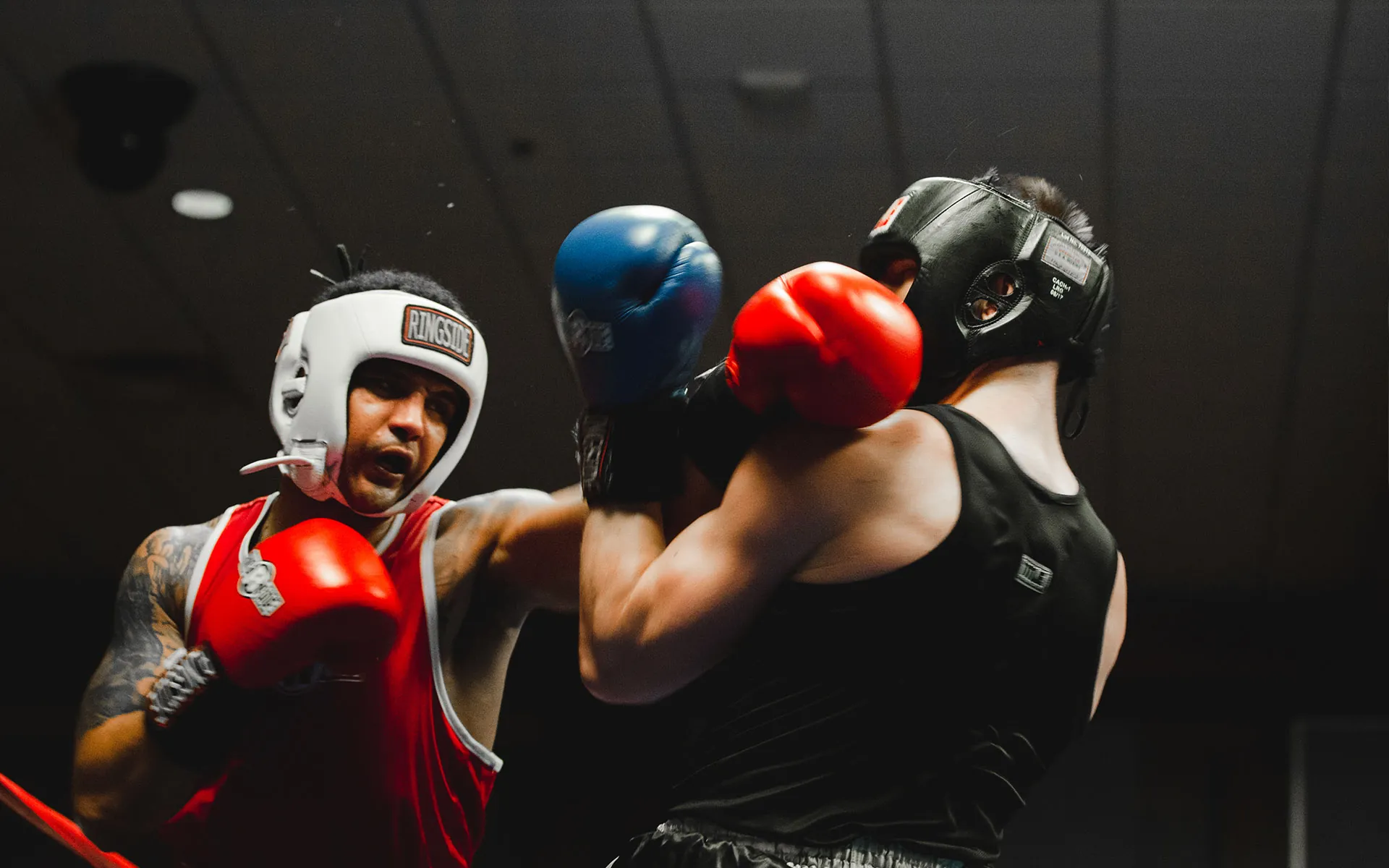 Two boxers in a ring